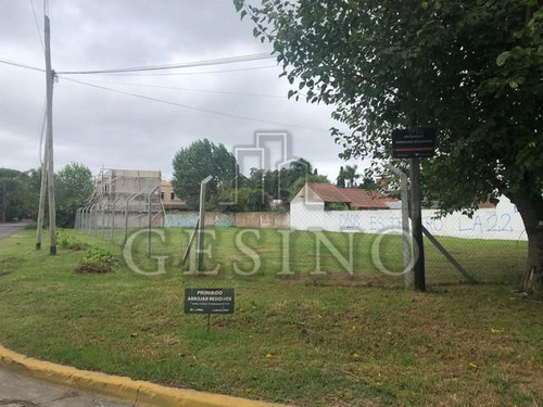 Imagen 3 de 6 de Terreno - Manuel B Gonnet