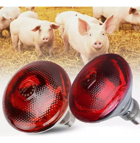 Lámparas De Calefacción Para La Cría De Cerdos, Vacas Y Ovej