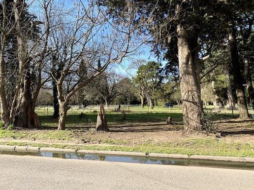 Imagen 5 de 20 de Venta Lote Del Viso