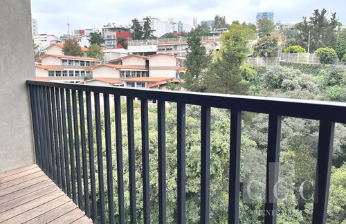 Imagen 27 de 30 de Este Departamento En Realidad Es Una Casa Con Los Beneficios