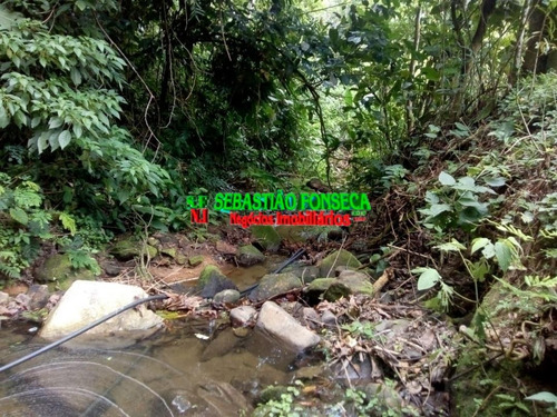 Imagem 3 de 4 de Belíssimo Sítio Em Caraguatatuba - 1266