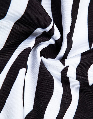 Biquíni Animal Print Zebra Asa Delta Verão
