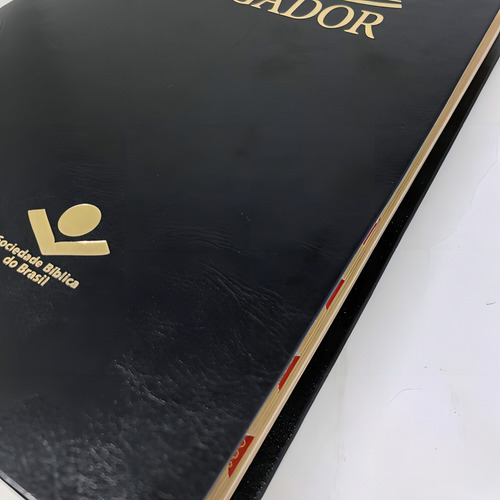 Estudos Sbb Esperança Pregação Pregar Pastor Presente Índice Lateral: Bíblia Sagrada, De João Ferreira De Almeida. Editora Esperança, Capa Mole Em Português, 2020