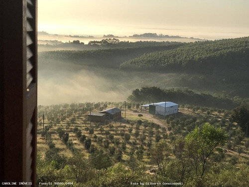 Imagem 8 de 15 de Oportunidade Para Investidor Para Venda Em Barra Do Ribeiro, Alto Douradilho - Barra Do Ribeiro - Rs, 6 Dormitórios, 1 Suíte, 5 Banheiros, 5 Vagas - 4014_1-2043950