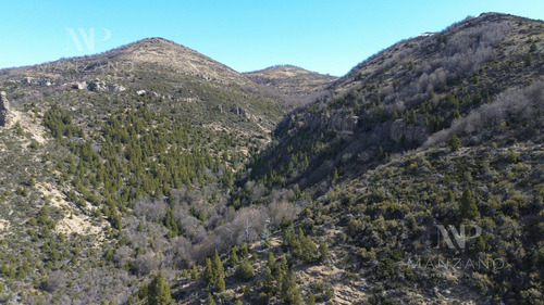 Venta Campo 100 Ha Costa De Río Ñirihuau - Colonia Nahuel Huapi