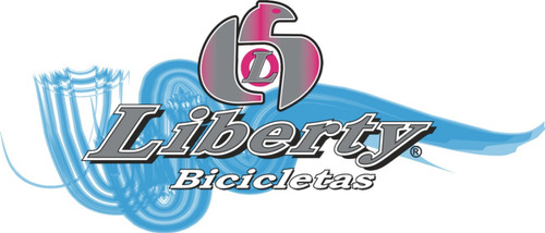 Bicicleta R24 Paseo Dama Mujer Liberty Primavera Con Canasto