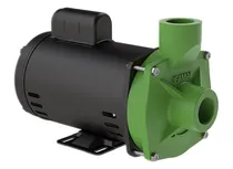Comprar Motobomba Centrífuga Fsg-s 2cv Motor Weg Trifásico Famac Cor Verde Fase Elétrica Trifásica Frequência 220v\u002F380v Trifásica 220v\u002F380v Trifásico