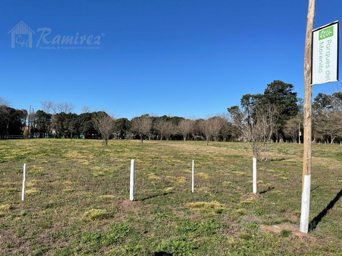 Imagen 9 de 30 de Lote Terreno En Venta 300 M2 - Parques Del Morenito, Moreno Norte