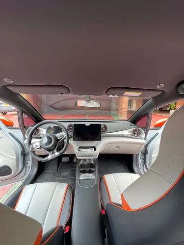 BYD Dolphin Gs