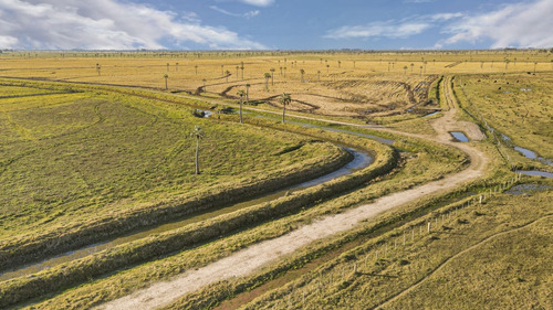 Venta Campo 740 Hás Rocha Agrícola Ganadero R 7085 (ref: Atm-7085)