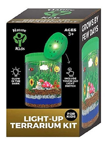 Kit De Terrario Iluminado Para Niños Con Luz Led En La Tapa