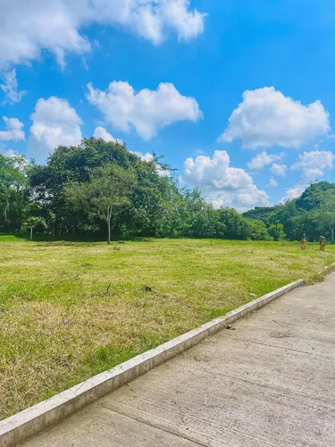 Lotes Campestres En Venta - Ginebra Valle Del Cauca