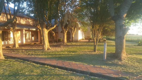 Imagen 4 de 15 de Campo Pergamino Casa/piscina/capilla 400 Mtrs Autopt Facilid