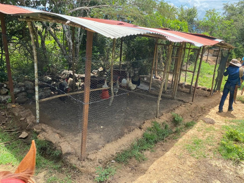 Imagen 25 de 30 de Agua De Dios - Finca De Produccion En Venta