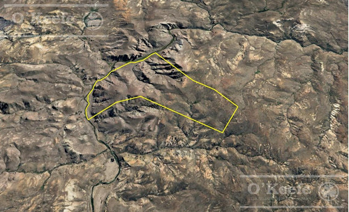 Campo En Venta De 635 Has Bariloche, Costa Del Pichileufu, Rio Negro.