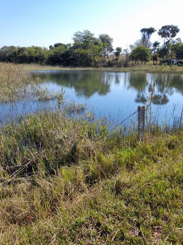 Imagem 5 de 11 de Fazenda Para Pecuária Venda Em Paranaiba-ms, Com 268 Hectares, Beira Rio Paranaiba, Casa E Varias Benfeitorias, Plana, Terra Mista Avermelhada - Fa00397 - 70075757