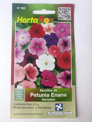 1 Sobre De Semilla Flor Petunia Enana,colores Variados | MercadoLibre