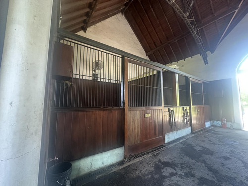 Venta Campo Haras San Andres De Giles