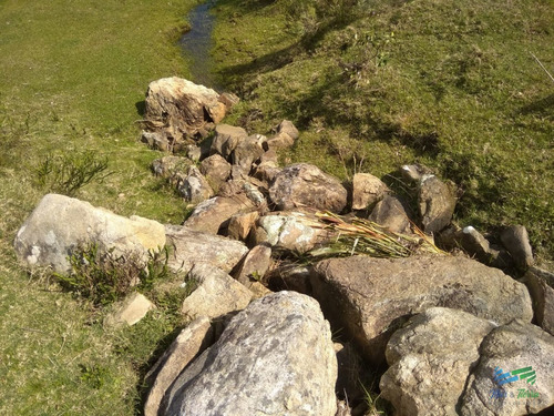 Imagen 9 de 24 de 5 Has Con Casa En Carape A Minutos De P. Edén Y Punta - Zona Rural Zona Rural