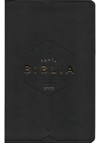 Biblia Nvi Santa Biblia Onetone Negro - Peniel, De Varios Autores. Biblia Evangelica Editorial Peniel, Tapa Tapa Dura En Español, 2024