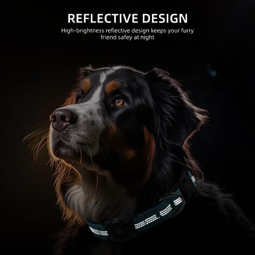 Airtag - Collar De Perro, Resistente Al Agua Ip68, Soporte P