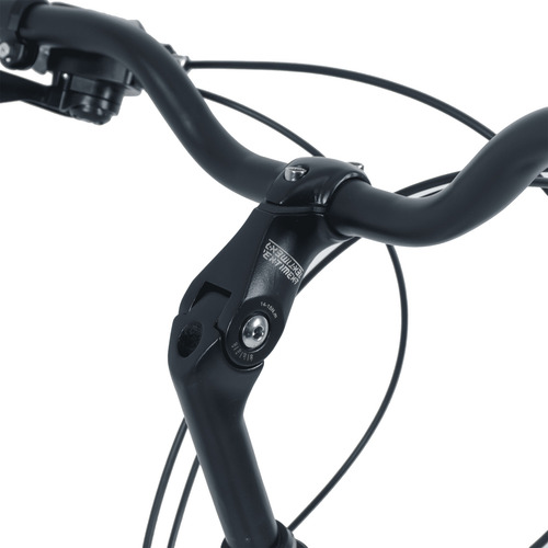 Bicicleta Urbana 29 Rava Way Shimano 21v