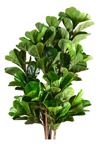 Planta Artificial Ficus Lyrata 150 Cm 180 Hjs / Arbusto Real