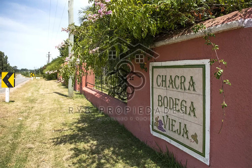 Venta - Chacra Bodega Vieja - Casa De Campo - Paraje Jose Ignacio