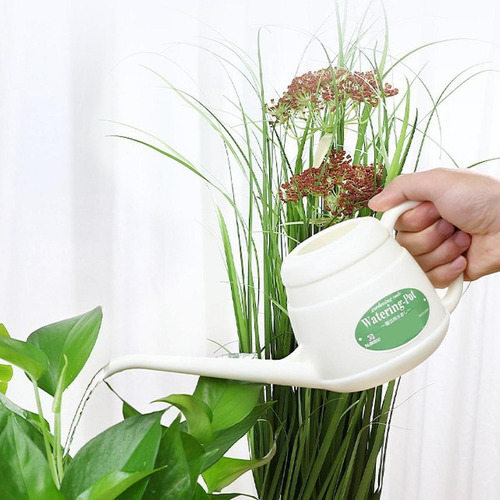 Regadera Pequeña, Herramienta De Jardinería, Regadera