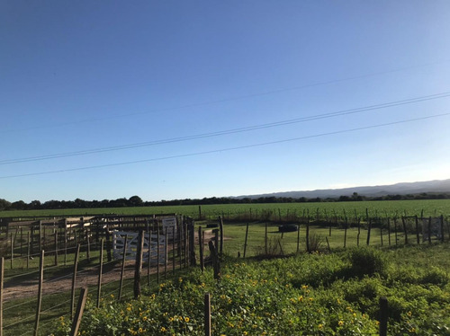 Se Vende Campo Mixto 161 Ha En Los Molinos (córdoba), A Tranquera Cerrada.