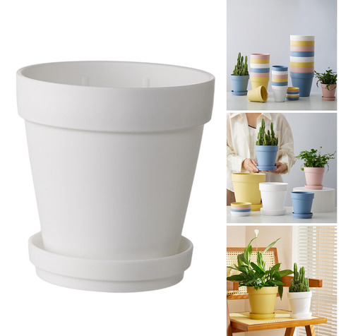Planta De Maceta De Flores De Flor, Novedad, Olla De Vivero