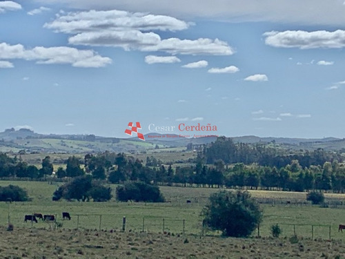 Venta - Chacra En Pueblo Eden- Ref: 1506