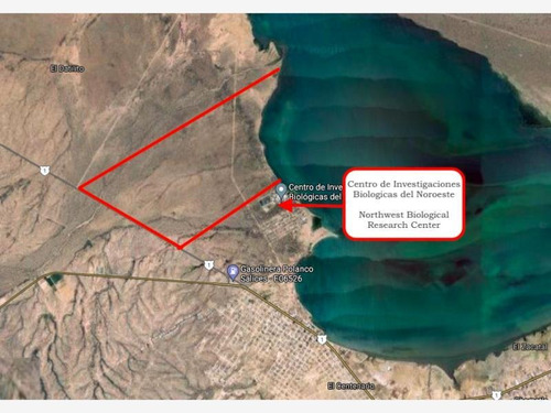 Imagen 2 de 12 de Terreno En Venta Bahía De La Paz