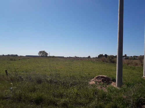 Imagen 7 de 11 de Loteo En Cayastá