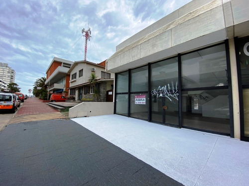Alquila Excelente Local Comercial!!!- Ref: 2473