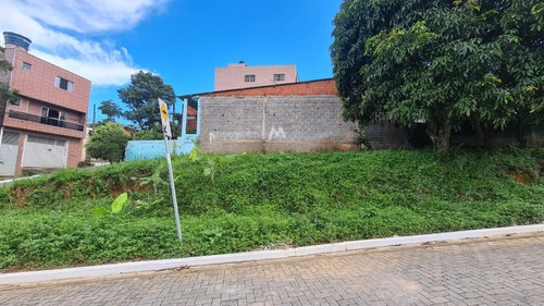 Imagem 2 de 7 de Vende Se Terreno Vargem Grande/colônia