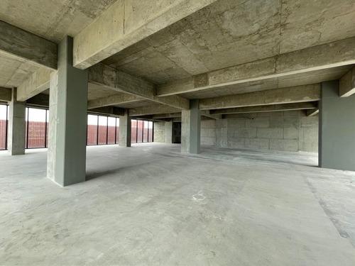 Renta Oficina 576m2 Corporativo Manuel Doblado, Calette, Tijuana Baja California