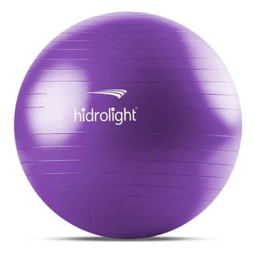  Hidrolight bola pilates yoga funcional 65cm suporta 350kg premium bomba cor morado