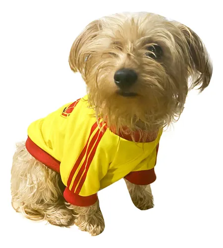 Camisetas de perro sale