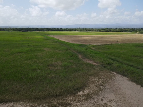 Imagen 26 de 30 de Finca En Venta Aguadagrande, Siquisique Cod. 23-7859