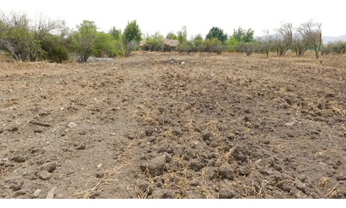 Sitio Hacienda Chicureo