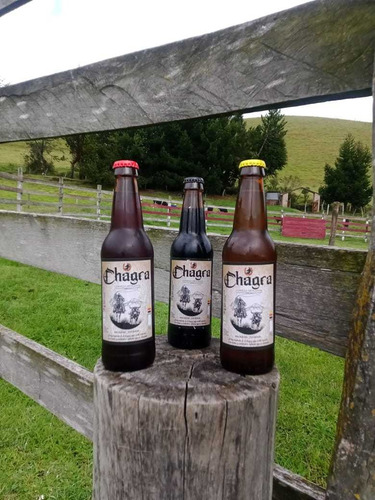Imagen 2 de 6 de Cerveza Artesanal