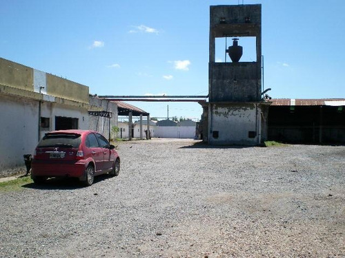Imagen 10 de 13 de Venta Deposito 3.000 M2 Cub. - Tigre