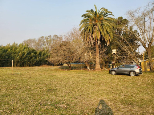 Imagen 4 de 17 de Venta-casa Quinta- Arroyo De La Cruz-zona Norte- 3 Ambientes- Pileta