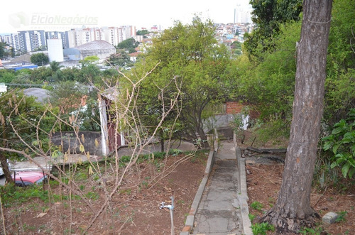Imagem 7 de 14 de Terreno Para Venda, 1030.7163 M2, Pirituba - São Paulo - 2613