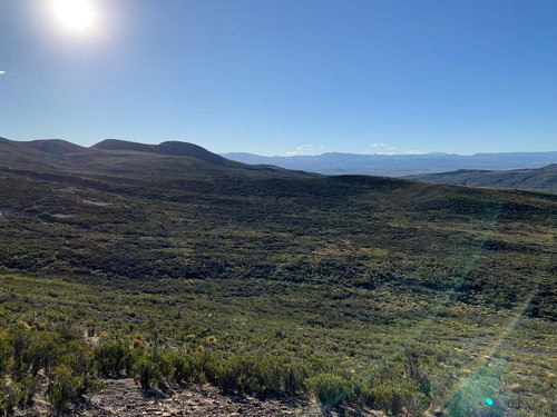 Imagen 2 de 14 de Campo En Venta - Espinazo Del Zorro - Aluminé