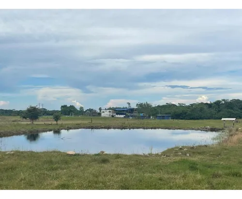 Vendo Gran Finca En Guamal Meta