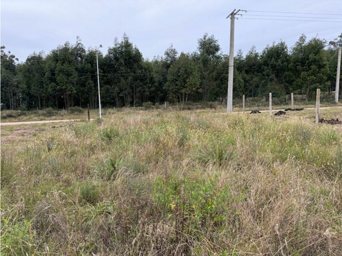 Vendo Terreno De 435 M2 En San Justo, Entre Ríos.