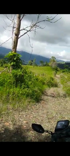 Excelente Finca En Chiguara Mérida