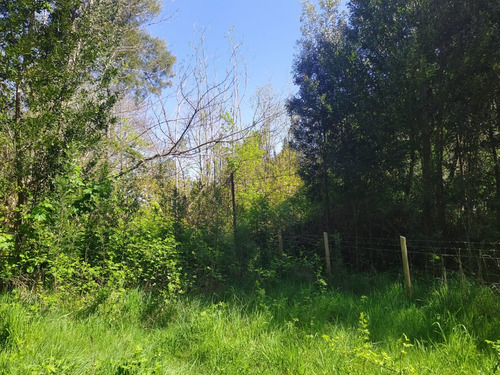 Hermosa Parcela En Venta En Gorbea